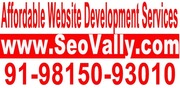 Website and web development company India